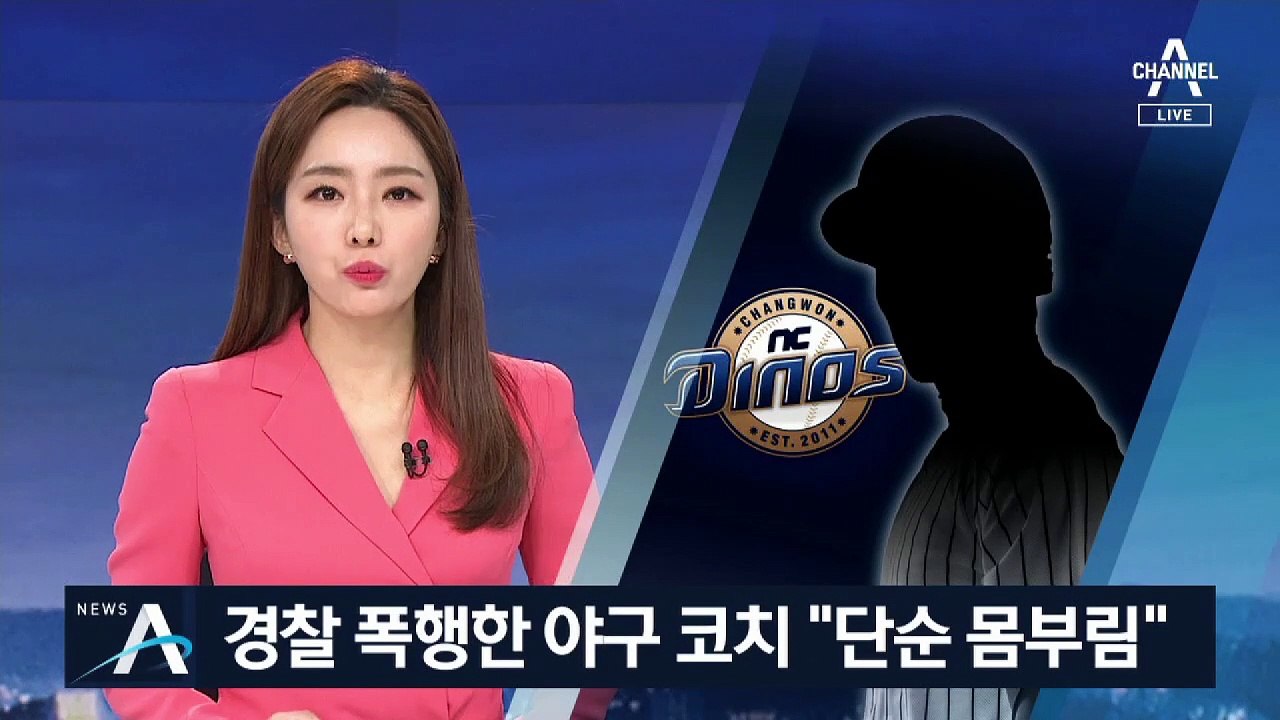 경찰 폭행한 야구 코치 “고의 폭행 아냐…단순 몸부림”