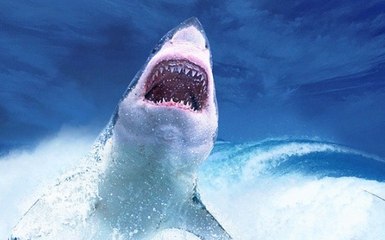 El gigantesco tiburón blanco ataca el bote donde pescan el padre y su hijo