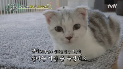 껌이는 기분이 이상해요.. 뭔가 외로웡ㅠㅠ