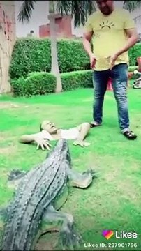 tik tok funny video, tik tok video, new tik tok video, funny tik tok videos (6)