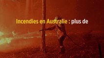 Incendies en Australie : plus de 480 millions d'animaux sont morts