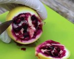 Scientist grows a combo tree of lemon and Pomegranate can you believe it
