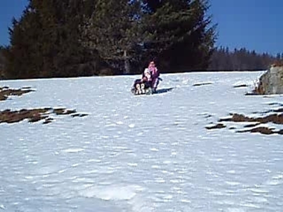 luge 4