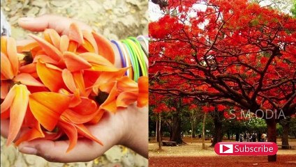 ଚୁପ୍ ଚାପ୍ କରି ଦିଅନ୍ତୁ ଏହି ଗୋଟିଏ ଜିନିଷ ଆପଣଙ୍କର ଭଲ ପାଇବା ହେବ ସଫଳ (ପ୍ରଚଣ୍ଡ ବଶି କରଣ ମନ୍ତ୍ର)