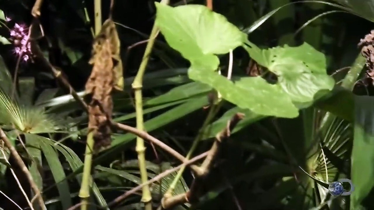 Largados e Pelados  - México - “Jardim do Diabo” | 2° Temporada