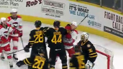 AHL Charlotte Checkers 4 at Providence Bruins 1