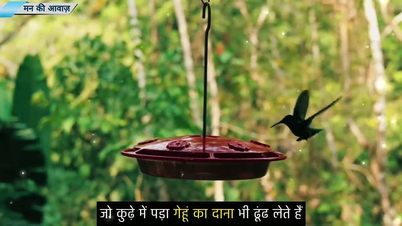Best powerful motivational video in hindi inspirational speech by mann ki aawaz