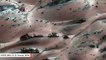 Trees On Red Planet? NASA Spacecraft Captures Strange Landscape On Mars