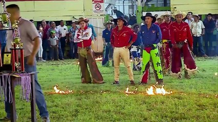 Micros Taurinos - 05 Enero 2020