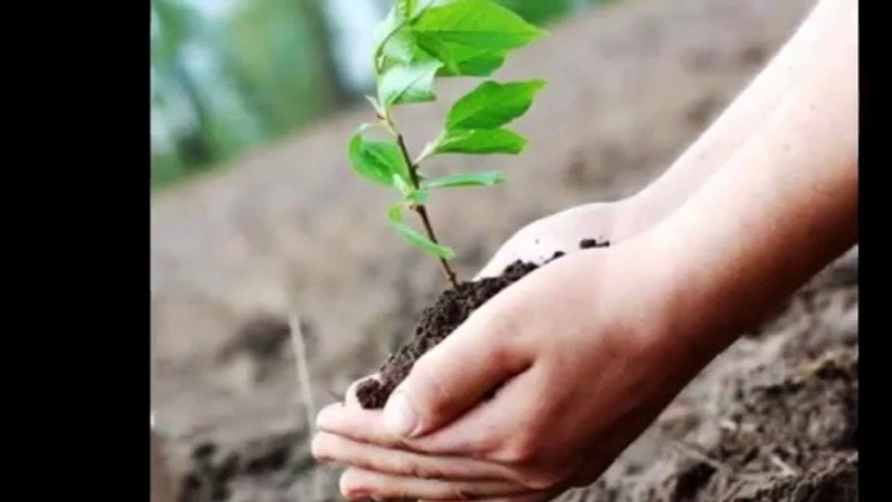 Prayavaran_ke_important_questions