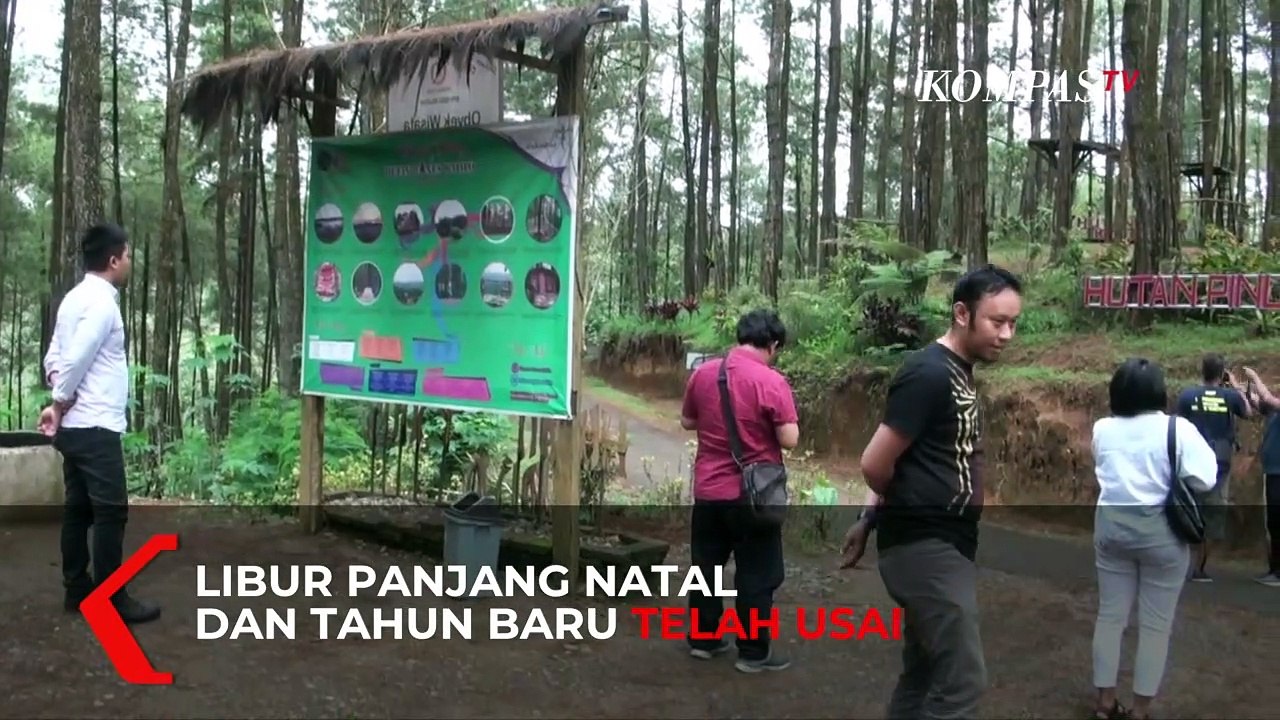 Wisata Alam Hutan Pinus di Purworejo