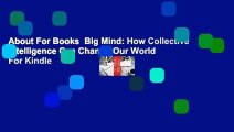 About For Books  Big Mind: How Collective Intelligence Can Change Our World  For Kindle