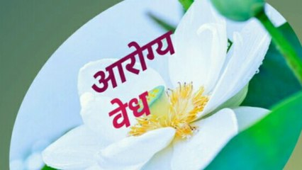 दिवसातून फक्त 2 ते 3 काजू खाल्ल्याने होणारे आरोग्यदायी फायदे,kaju fayde, सुकामेव्यातील हा पदार्थ प्रमाणात खा अनेक रोग तुमच्यापासून दूर राहतील!