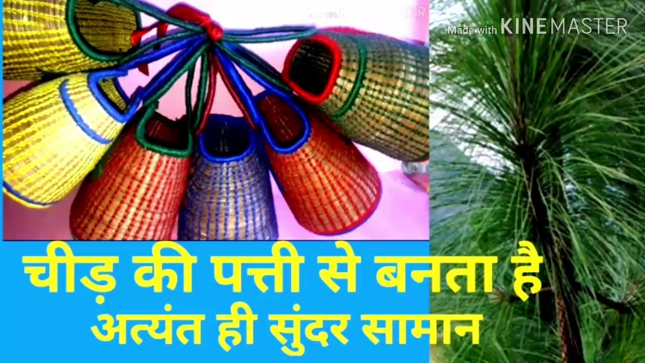 चीड़ की सुईयां बेहद उपयोगी , चीड़ की पत्ती से बनता  है  सुन्दर सामान,  ग्रामीण क्षेत्रों में रोजगार देता चीड़,