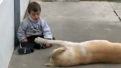 Amigos para siempre: El perro cuida al niño con Síndrome de Down