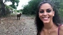 Una ignorante turista intenta tomarse un selfi con una pobre cabra y sale escaldada