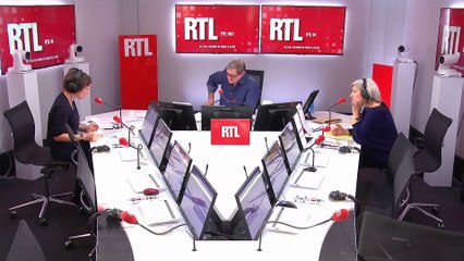 Australie : face aux incendies, sauvez les bébés kangourous depuis la France