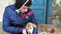 15 yaşındaki genç donmak üzere olan yavru köpeklere sahip çıktı