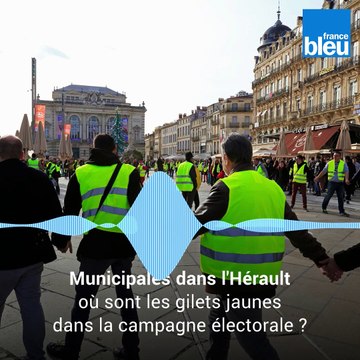 Municipales dans l'Hérault : où sont les gilets jaunes dans la campagne électorale ?