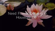 Flower Delivery In Houston, TX | 832-648-3845