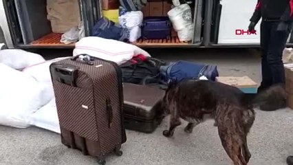 Kocaeli otobüste 10 kilo 380 gram eroinle yakalandı