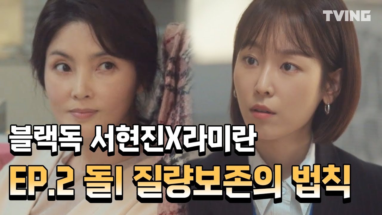[블랙독] 직장인은 다 아는 돌I 질량보존의 법칙 EP.2 하이하라이트  (서현진, 라미란) l Blackdog