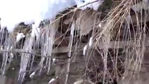 Kar yağışının ardından binalarda ve ağaçlarda buz sarkıtları oluştu