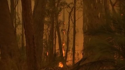 حرائق الغابات بأستراليا تقتل 24 شخصا والحكومة تتعهد بإصلاح الأضرار