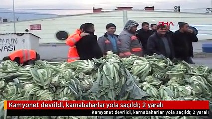 Kamyonet devrildi, karnabaharlar yola saçıldı: 2 yaralı