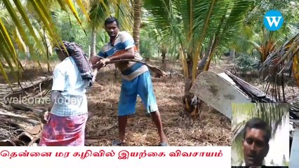 Natural Farming Techniques from coconut  tree Waste