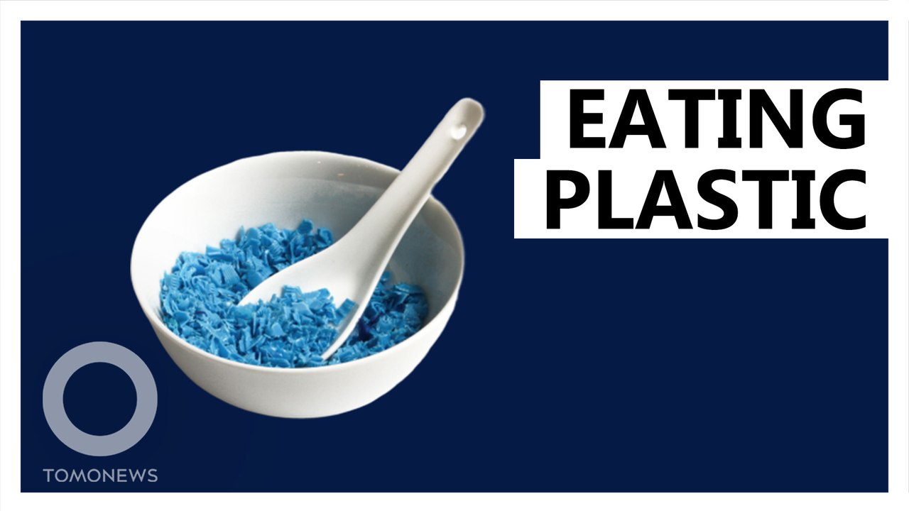 This is the amount of plastic particles ingested by humans
