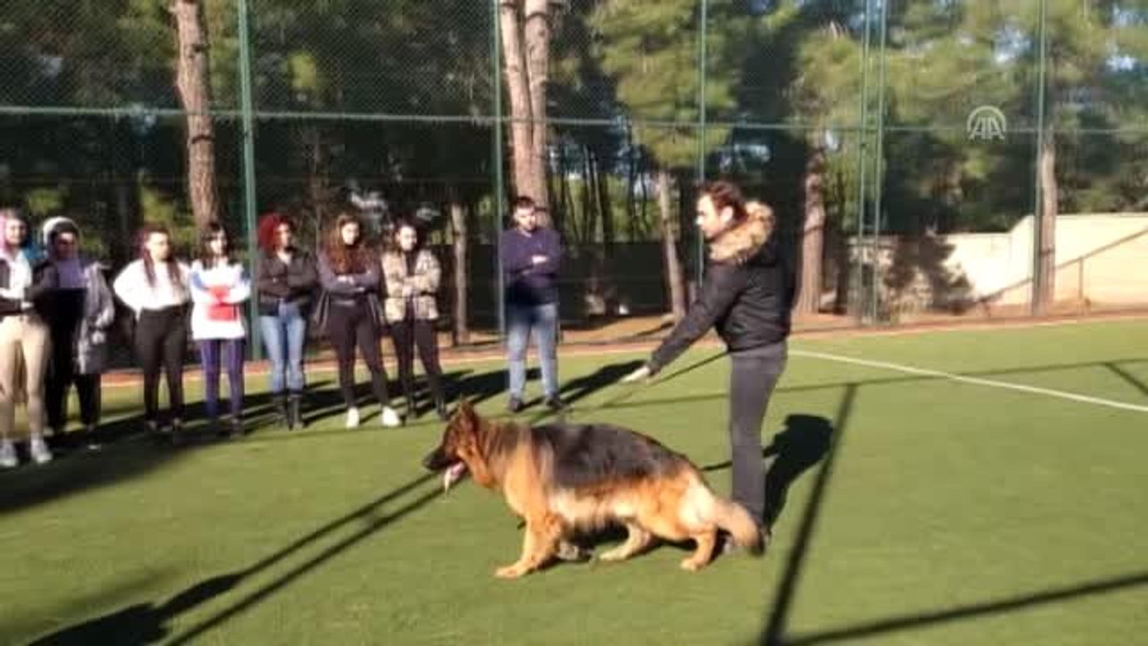 Keşan MYO'da "Köpek Eğitimi ve Bakımı Sertifika Programı" başladı
