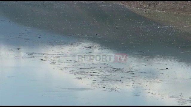Report TV - Ndotje, mbeturina, plastikë... Çfarë sjellin reshjet e shiut në Liqenin e Fierzës