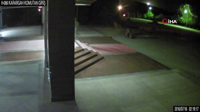 Yargıtay, Astsubay Ömer Halisdemir'in şehit edilmesine ilişkin davada 18 sanığa verilen cezaları onadı.