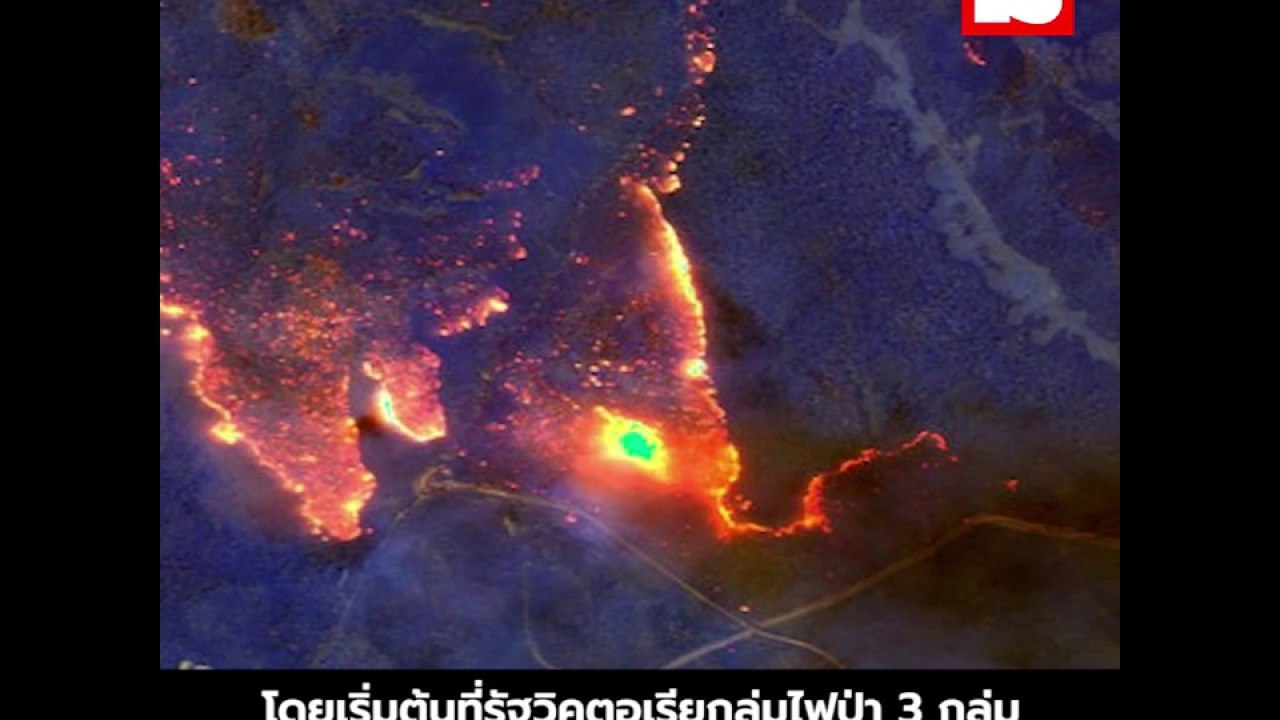 ไฟป่าออสเตรเลียสาเหตุ และผลกระทบมหาศาล