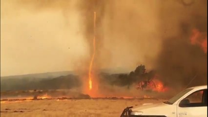 Des tornades de feu ont été observées sur l'île Kangourou, au sud de l'Australie