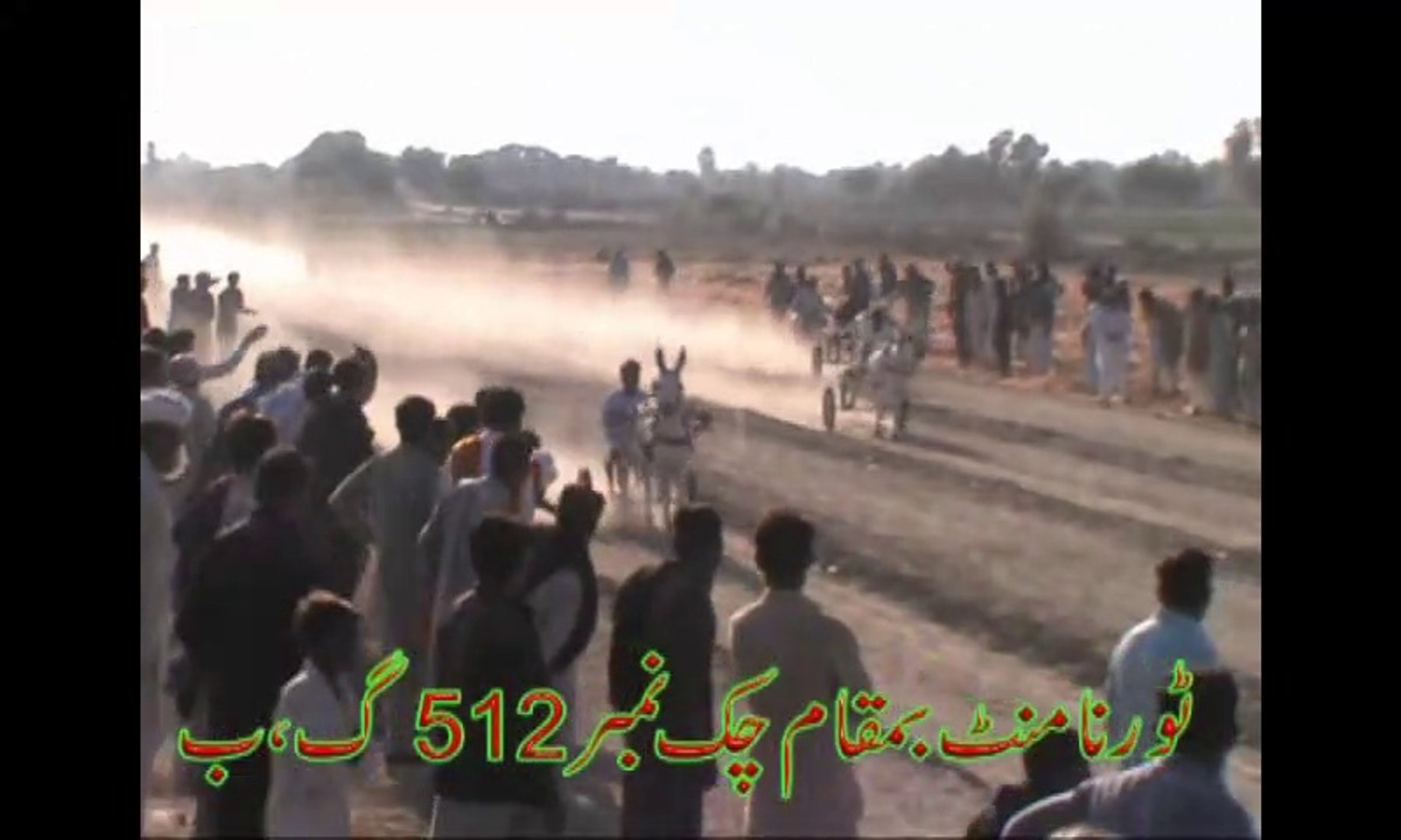 Donkey Race (gadha race)