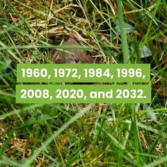 chinese-horoscope-2020-year-of-the-metal-rat