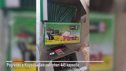 Report TV - Policia sekuestron 445 kapsolla, gjobë për 3 persona, nën hetim 4 të tjerë
