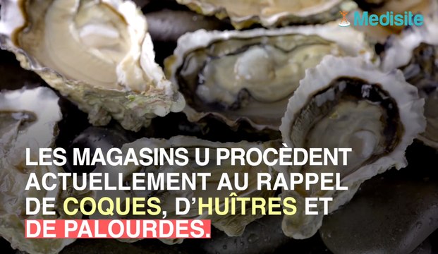 Rappel de coques, huîtres et palourdes contaminées par des norovirus