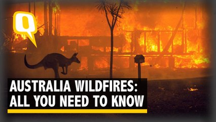 Australia is Burning: All You Need To Know About the Deadly Wildfire