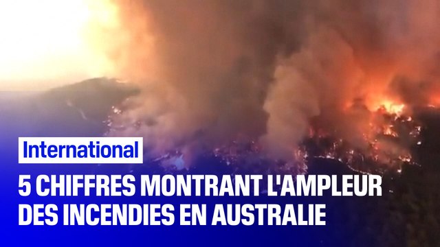 Voici les 5 chiffres qui montrent l’ampleur du désastre en Australie