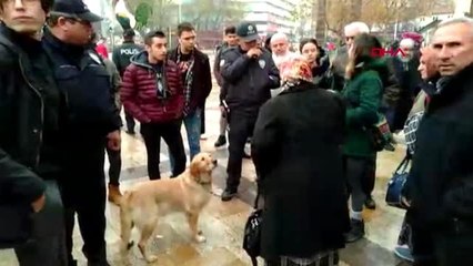 Yağmur altında bırakılan köpeğin sahibine gençlerden tepki