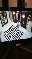 Un homme sauve un chien étranglé par un ascenseur