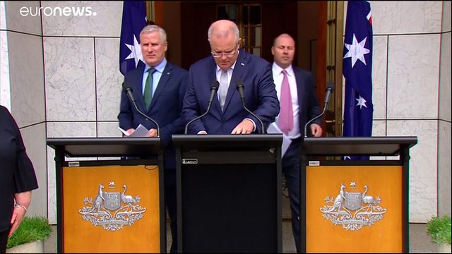 Salvar os coalas da Austrália