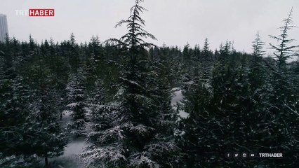 Ankara'da kar yağışı başladı