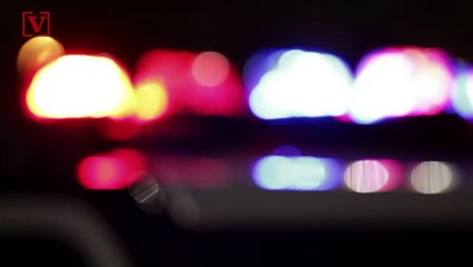 Police Discover Cries of ‘Help, Let Me Out!’ are From Parrot