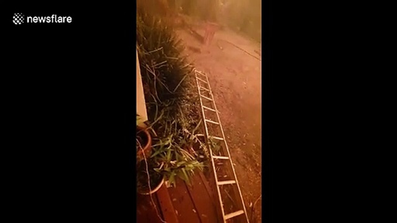 Heroic homeowner defends property against raging flames from New South Wales bushfire