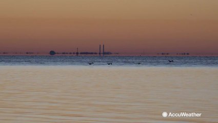 Sunshine State receives cold snap