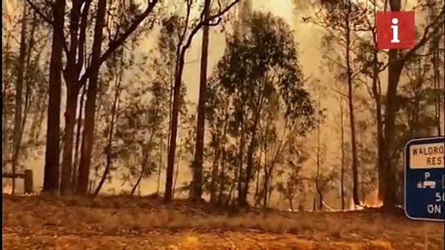 Firefighters continue to battle bushfires in Australia amid global concern over crisis